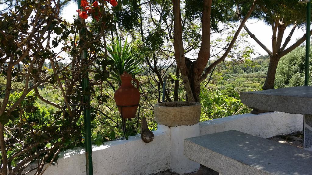 My House - Casa Charme Villa มอนชีเก ภายนอก รูปภาพ